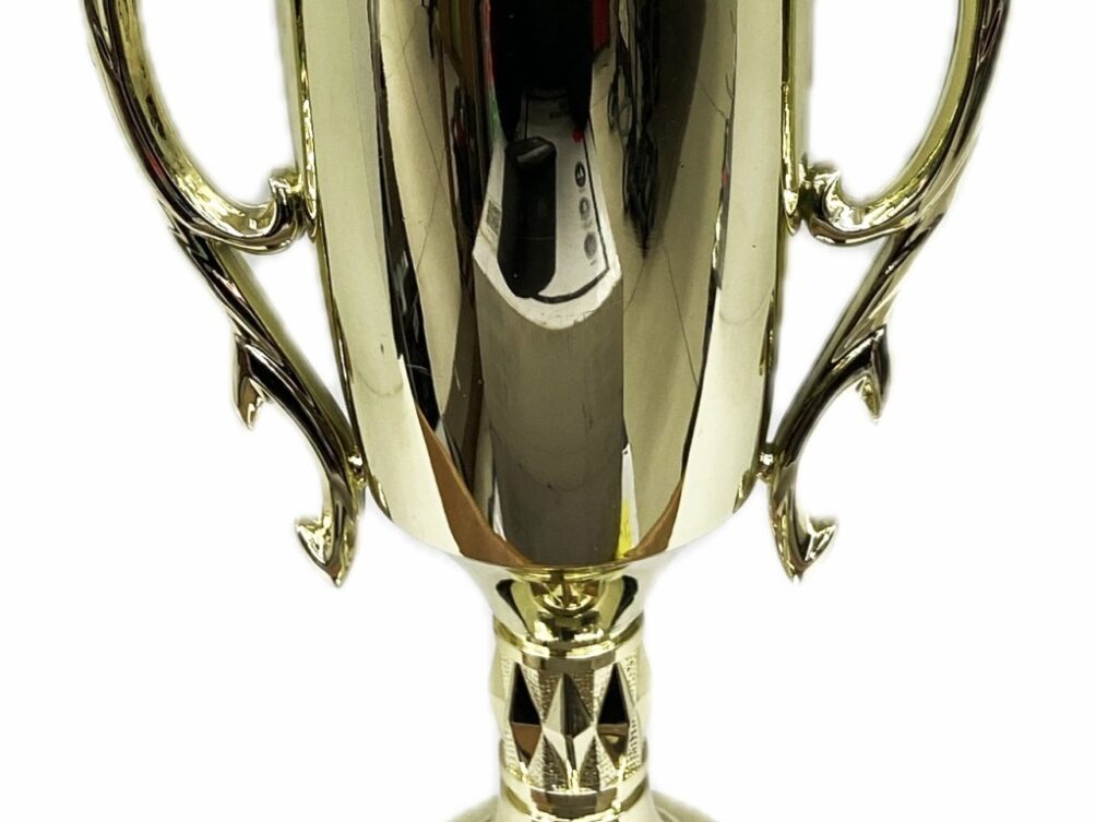 Hereford Cow Trophy 355mm