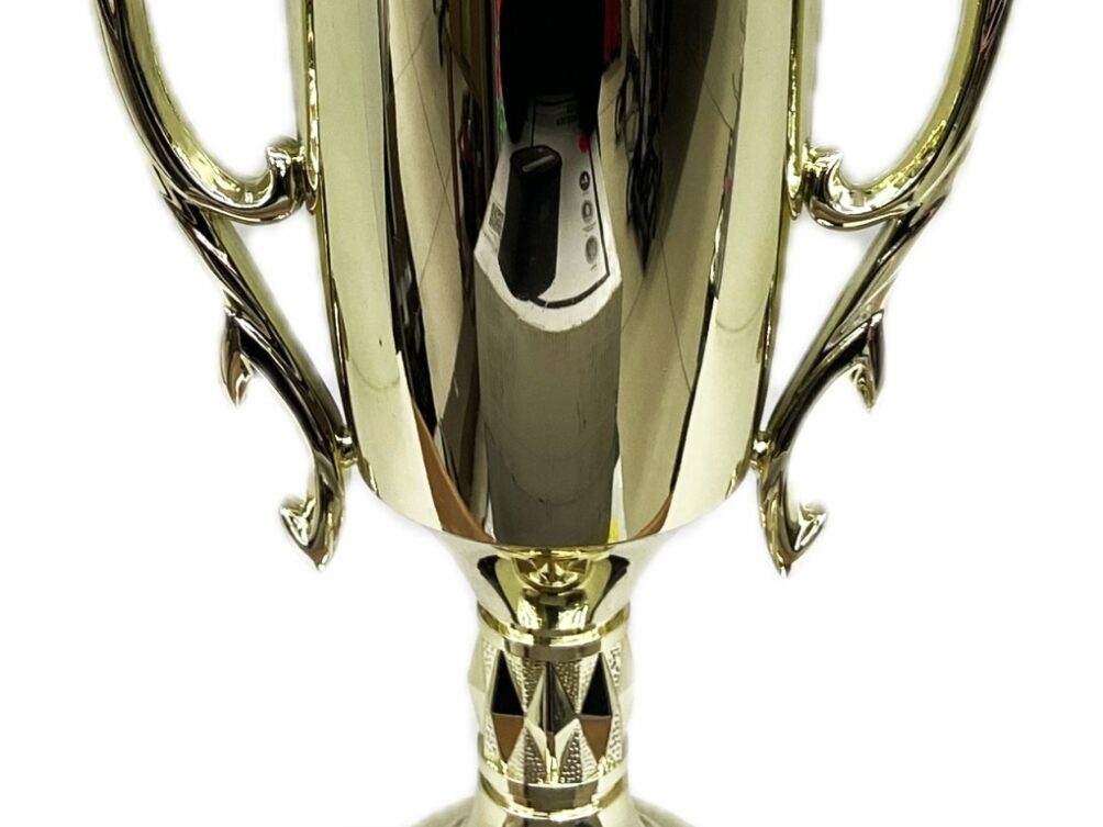 Hereford Cow Trophy 355mm