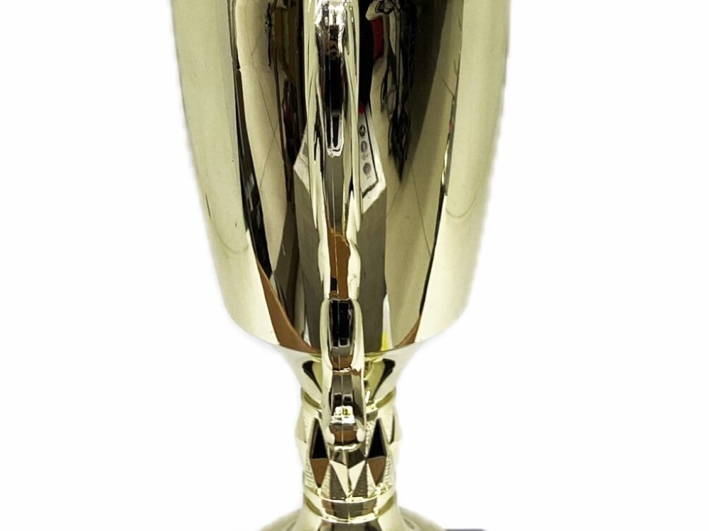 Hereford Cow Trophy 355mm