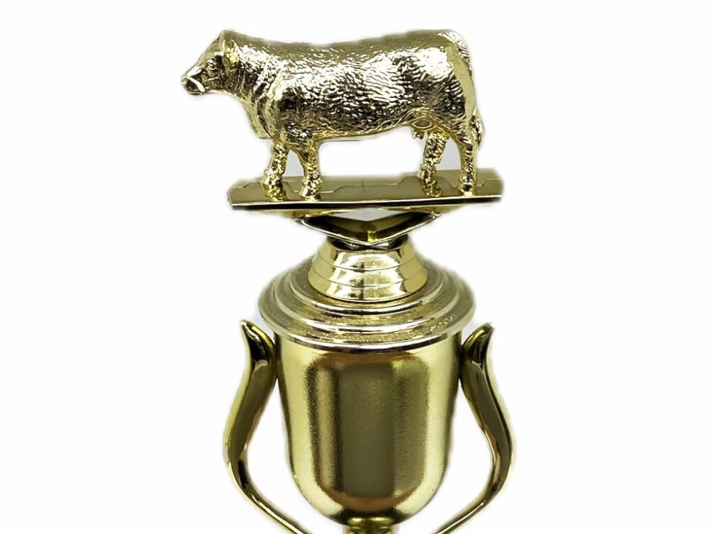Hereford Cow Trophy 215mm