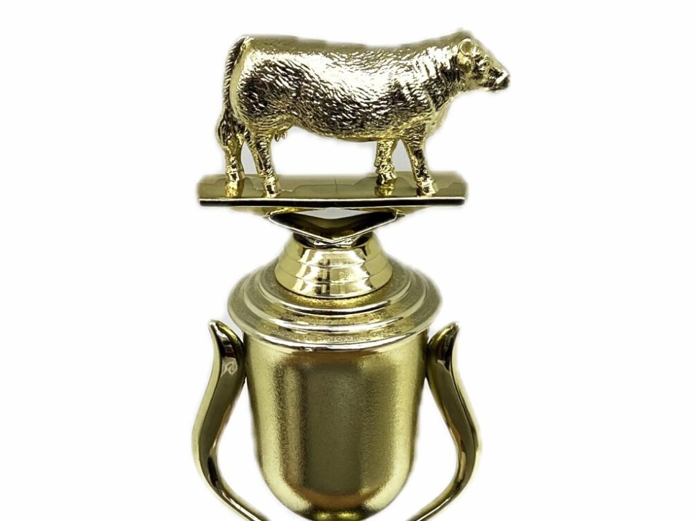 Hereford Cow Trophy 215mm