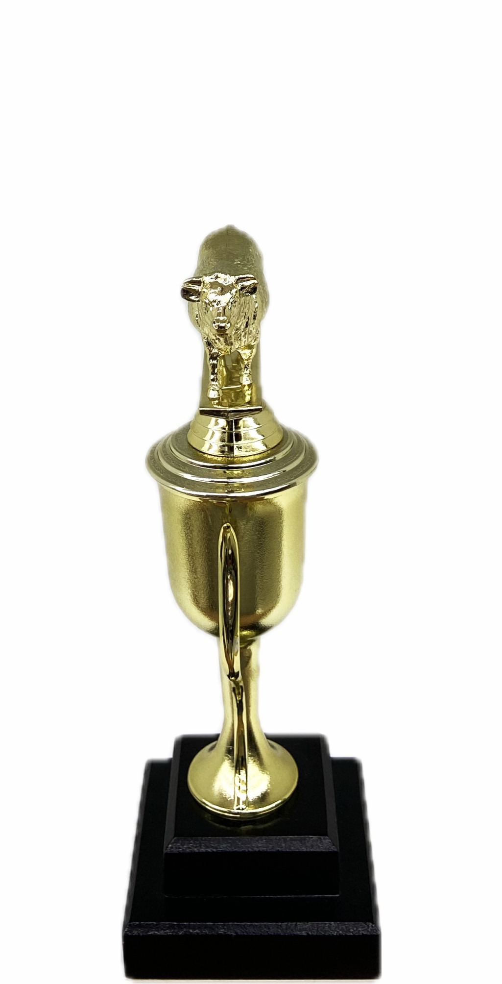 Hereford Cow Trophy 240mm