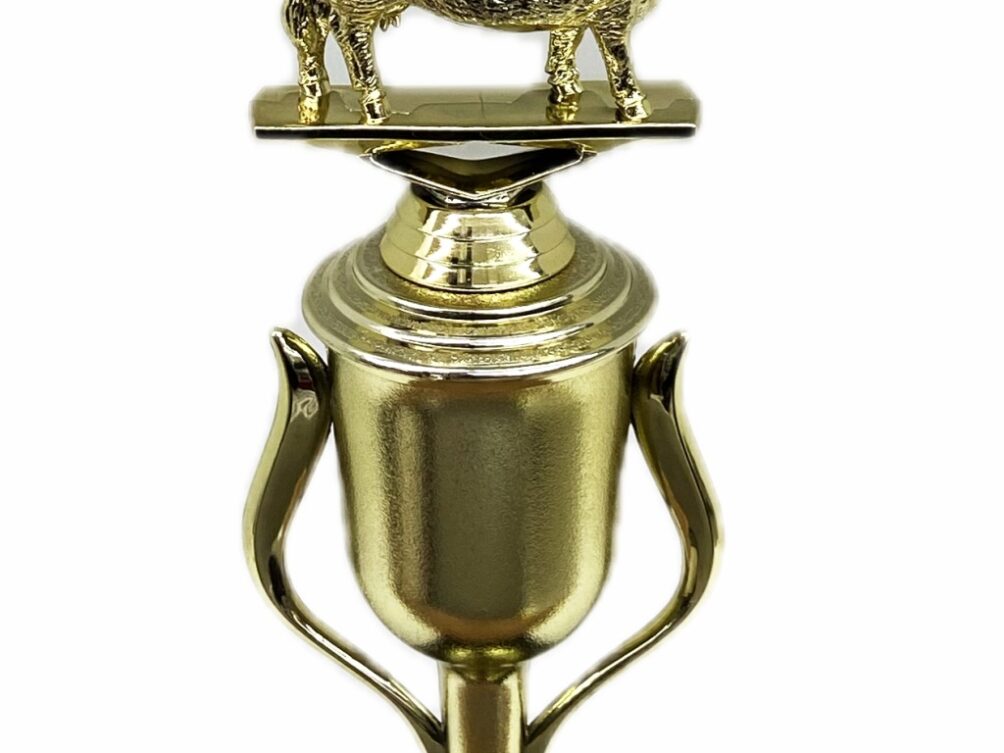 Hereford Cow Trophy 240mm