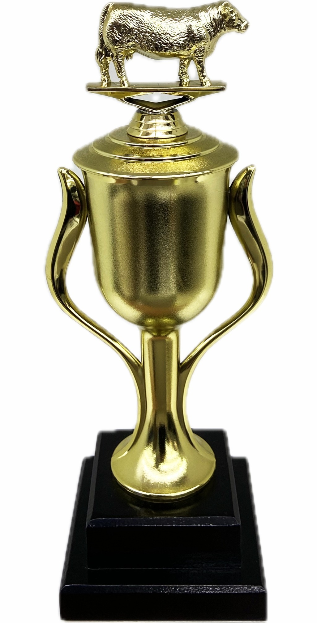 Hereford Cow Trophy 355mm