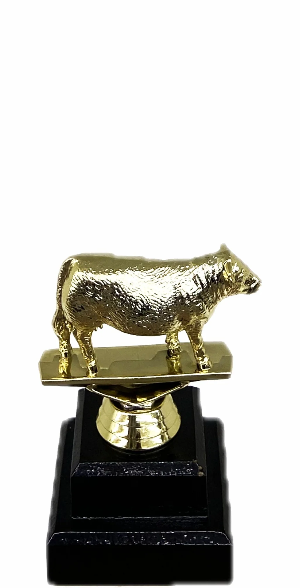 Hereford Cow Trophy 125mm