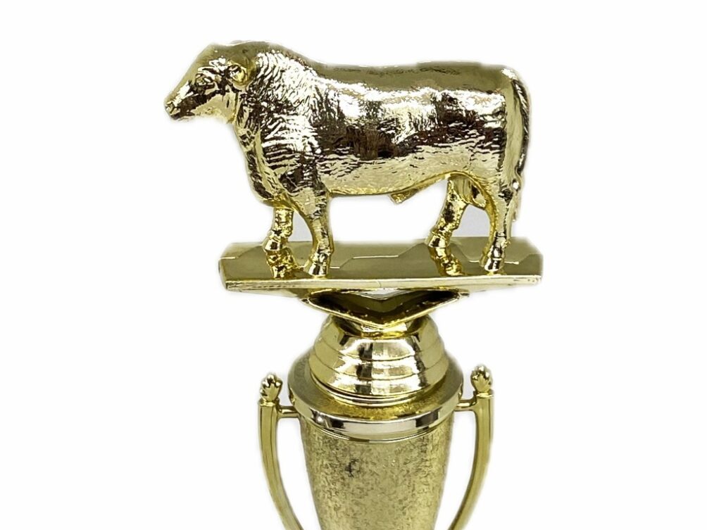 Hereford Steer Trophy 215mm