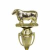 Hereford Steer Trophy 215mm