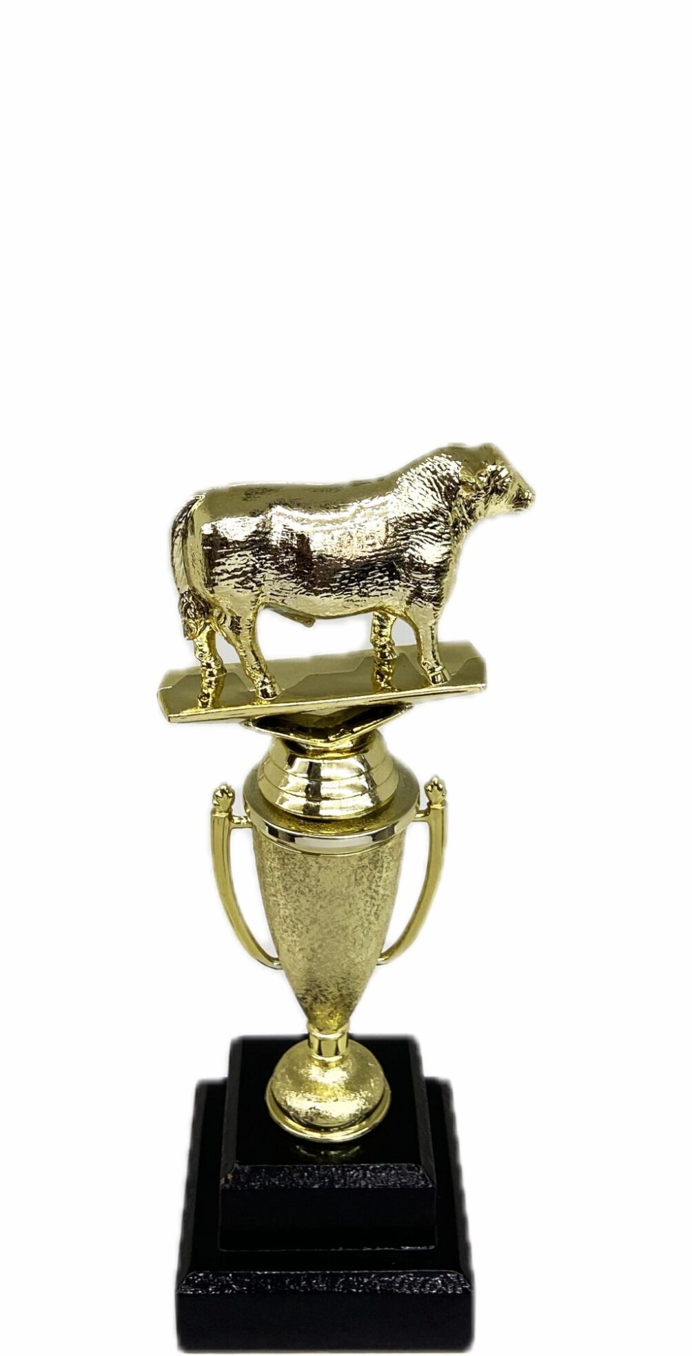 Hereford Steer Trophy 215mm