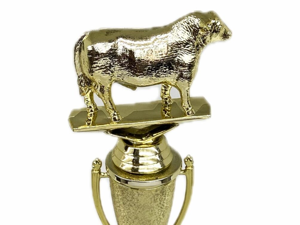Hereford Steer Trophy 215mm