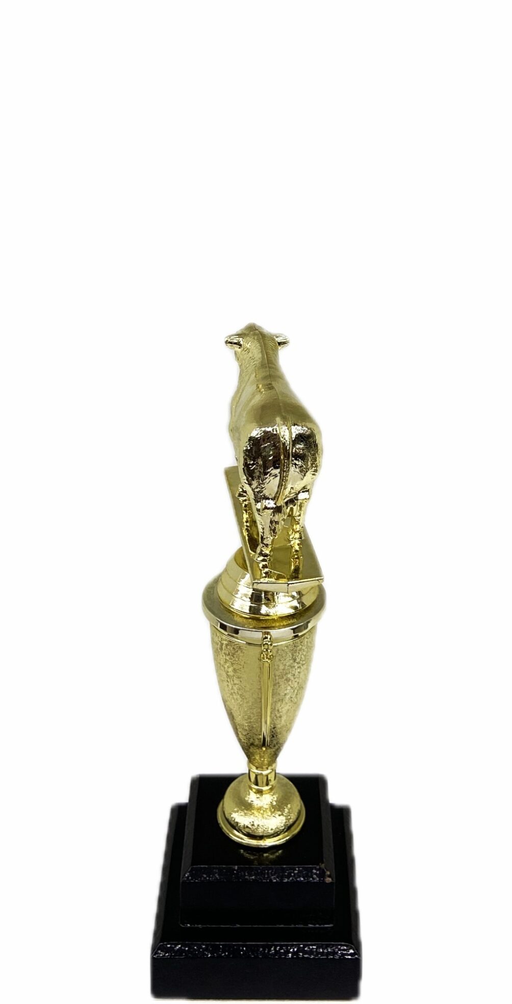 Hereford Steer Trophy 215mm