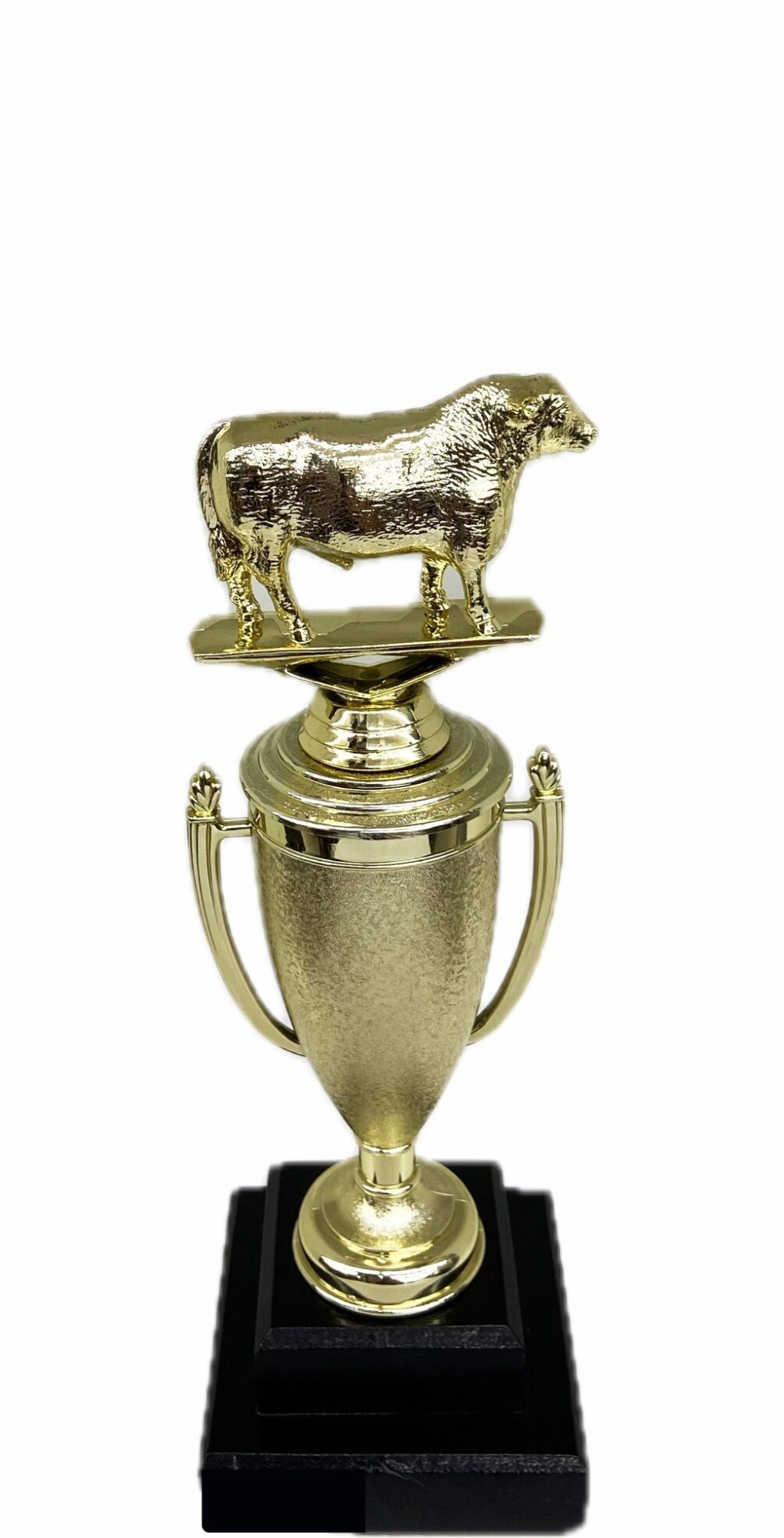 Hereford Steer Trophy 240mm