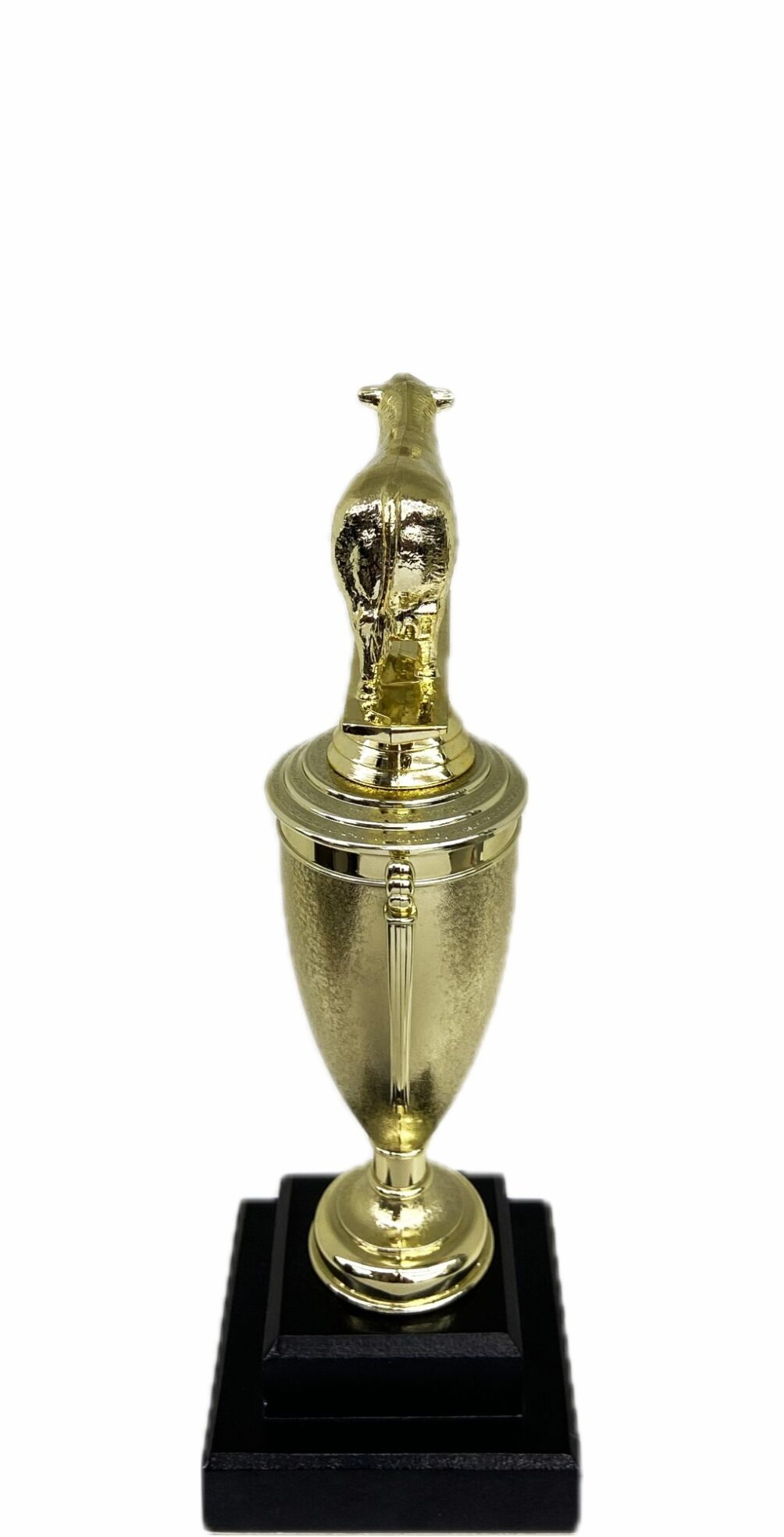 Hereford Steer Trophy 240mm