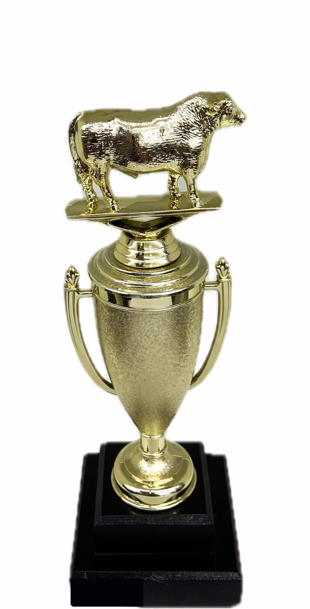 Hereford Steer Trophy 275mm