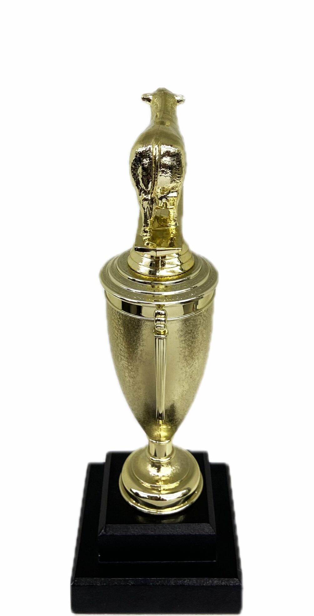 Hereford Steer Trophy 275mm