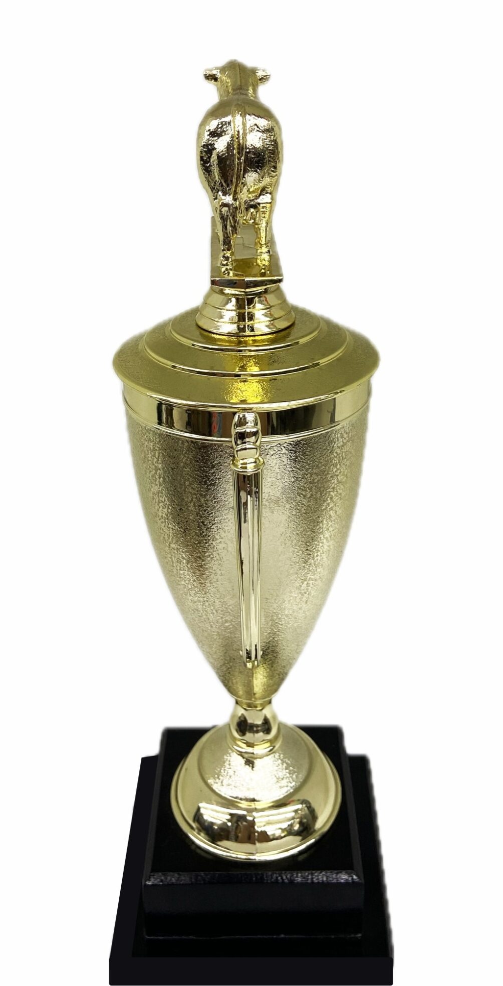 Hereford Steer Trophy 315mm