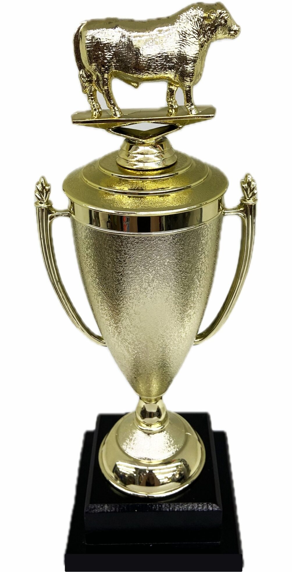 Hereford Steer Trophy 355mm