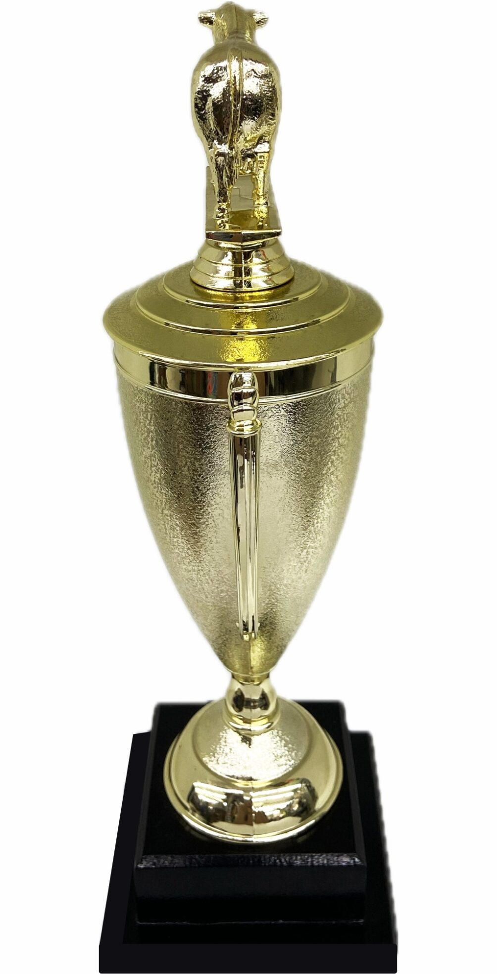 Hereford Steer Trophy 355mm