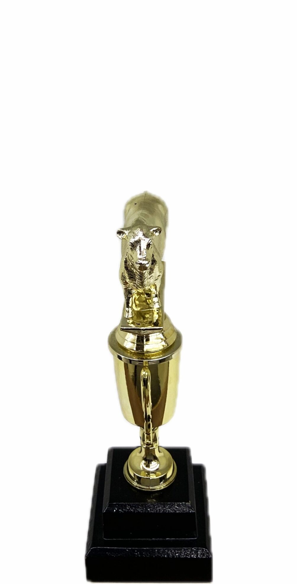 Hereford Steer Trophy 215mm