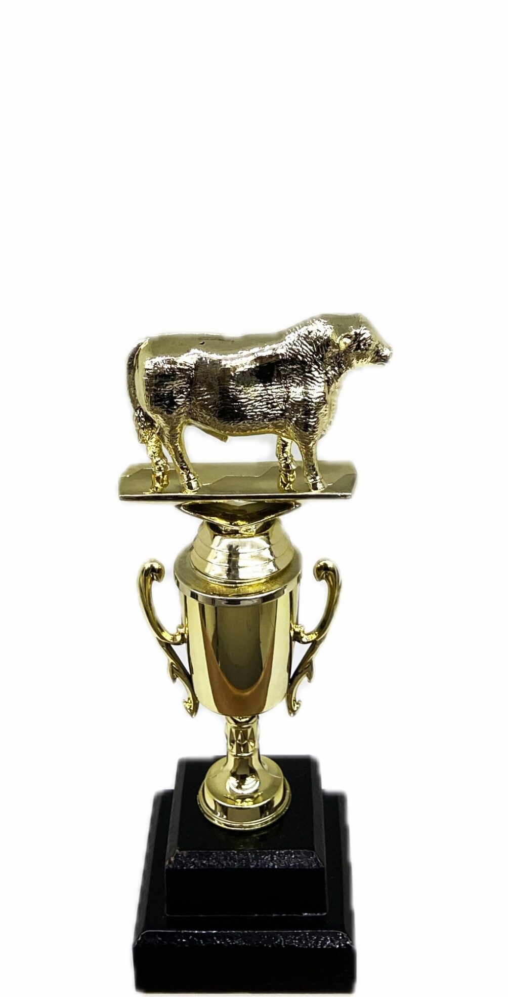Hereford Steer Trophy 215mm