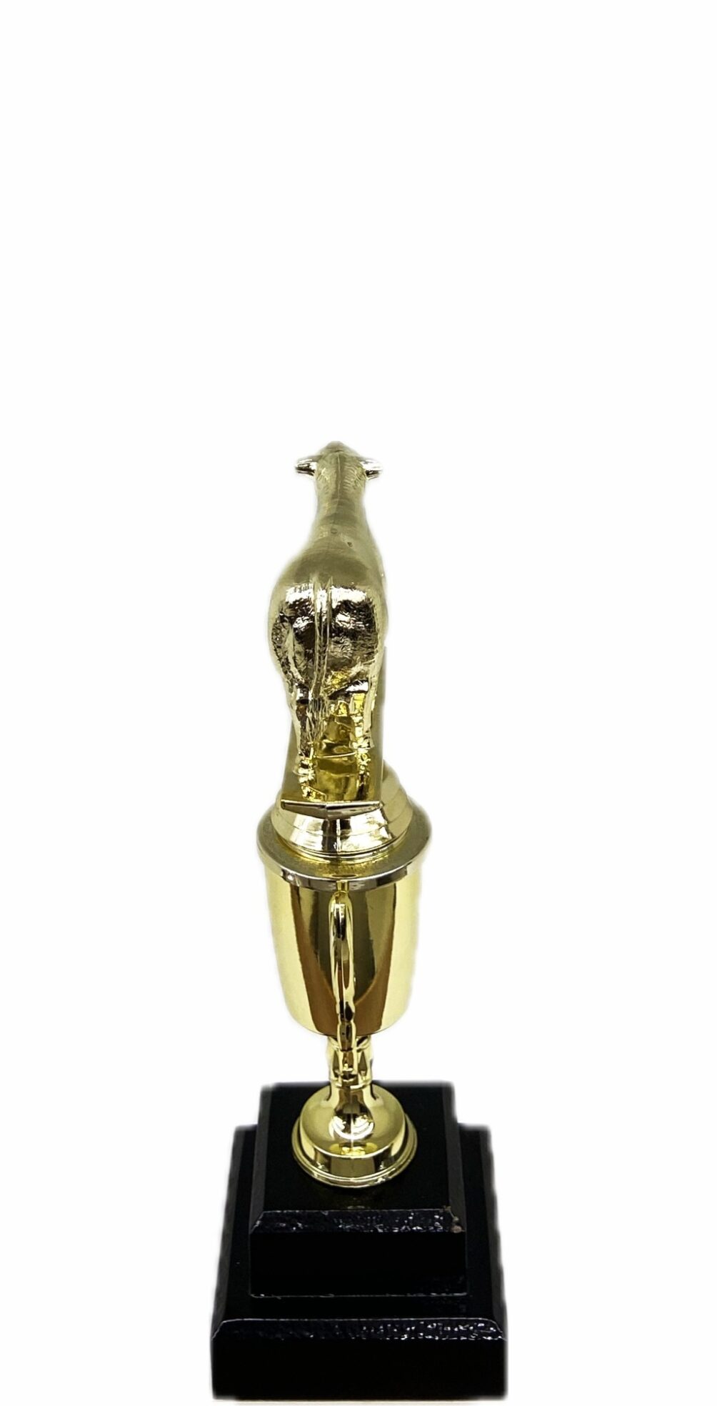 Hereford Steer Trophy 215mm