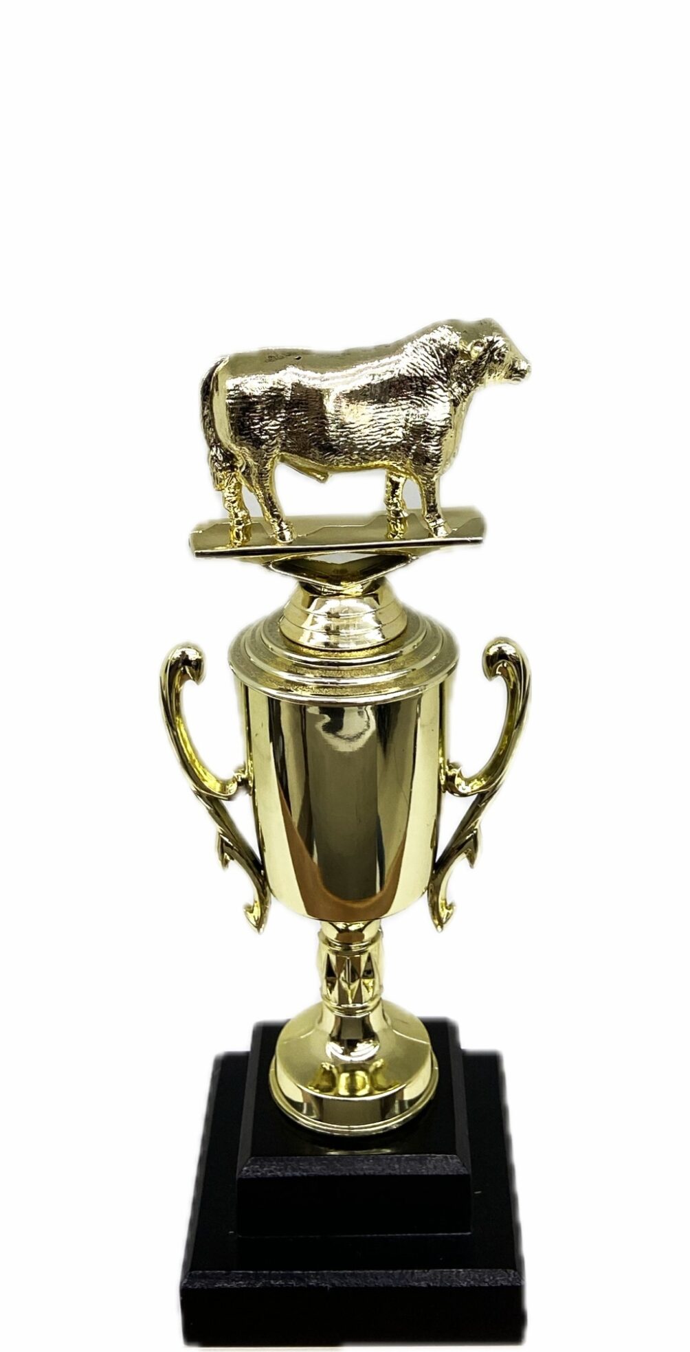 Hereford Steer Trophy 240mm