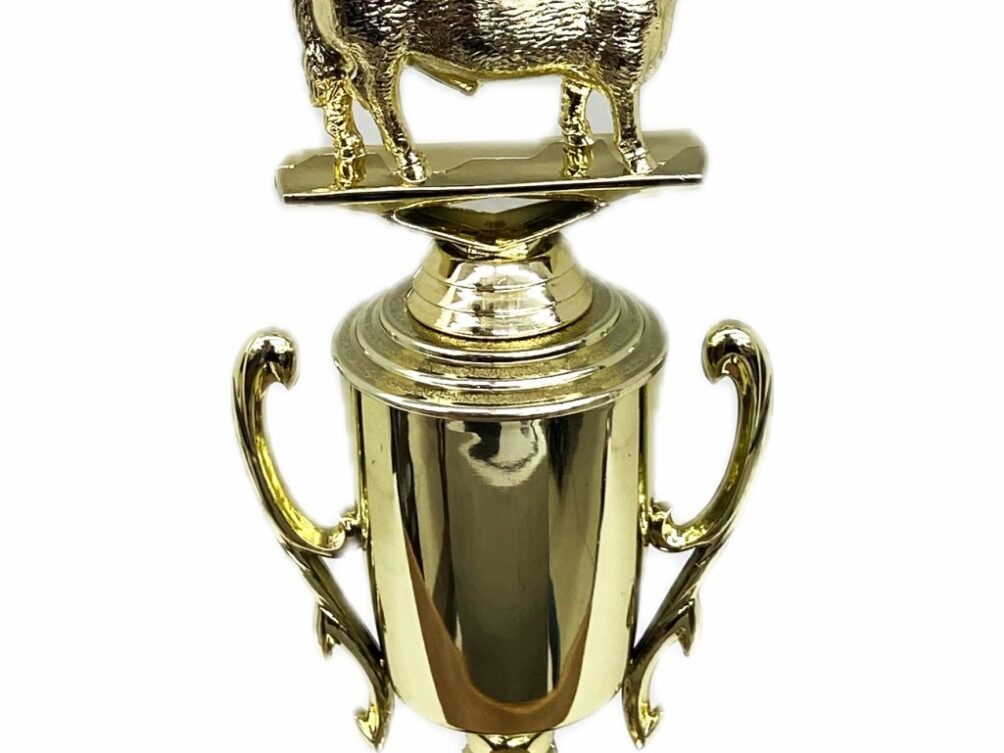 Hereford Steer Trophy 240mm