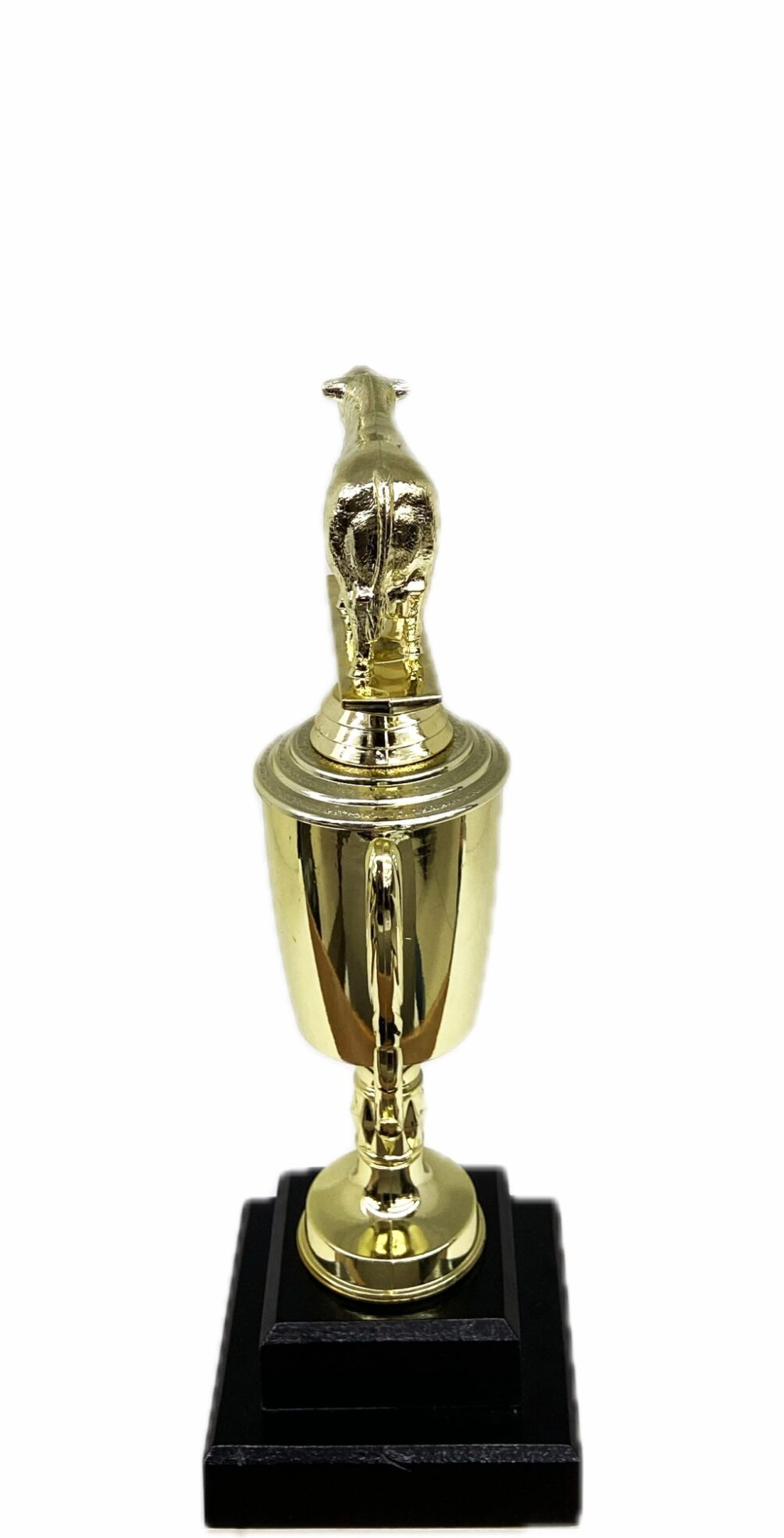 Hereford Steer Trophy 240mm