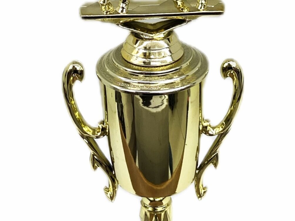 Hereford Steer Trophy 275mm