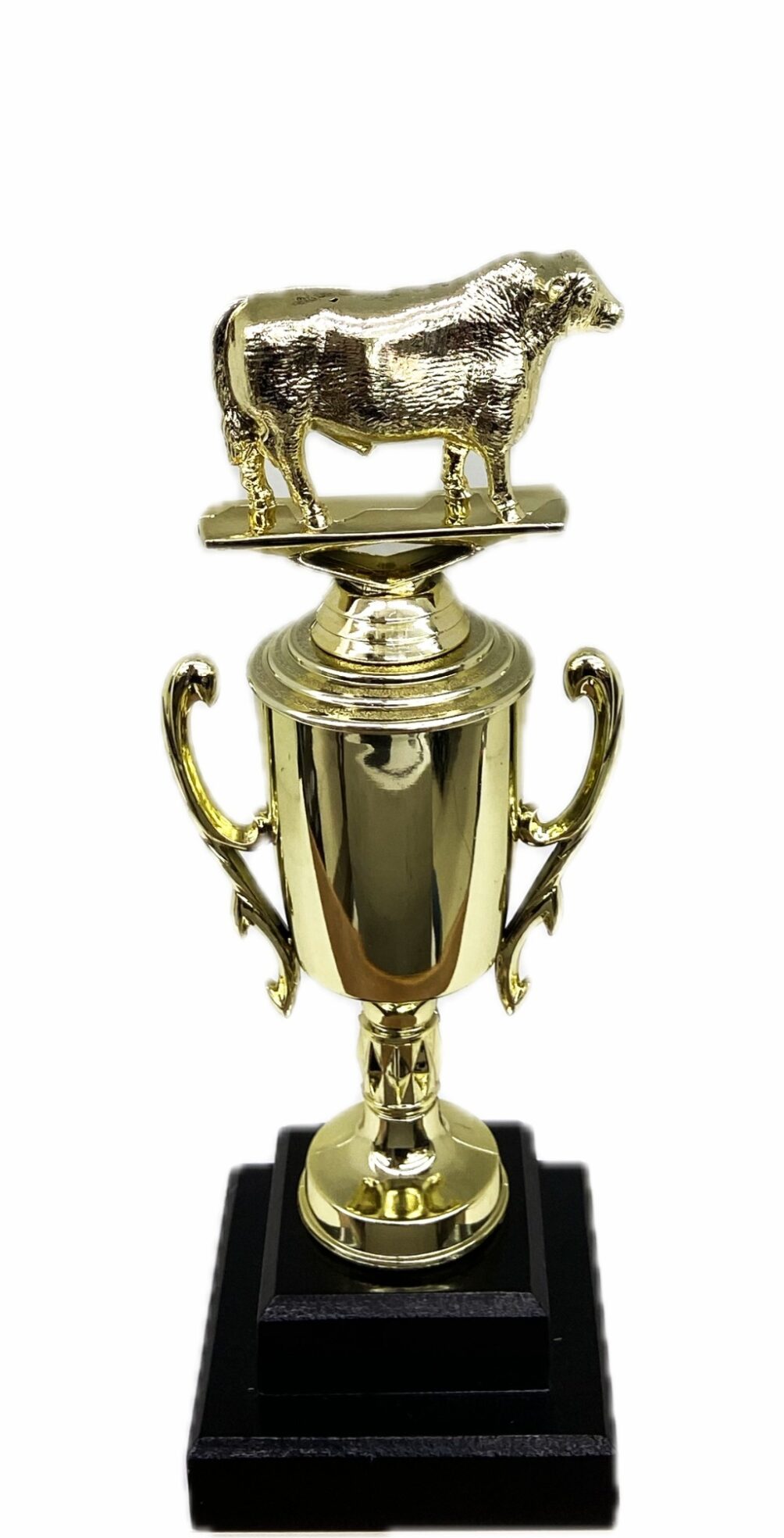 Hereford Steer Trophy 275mm