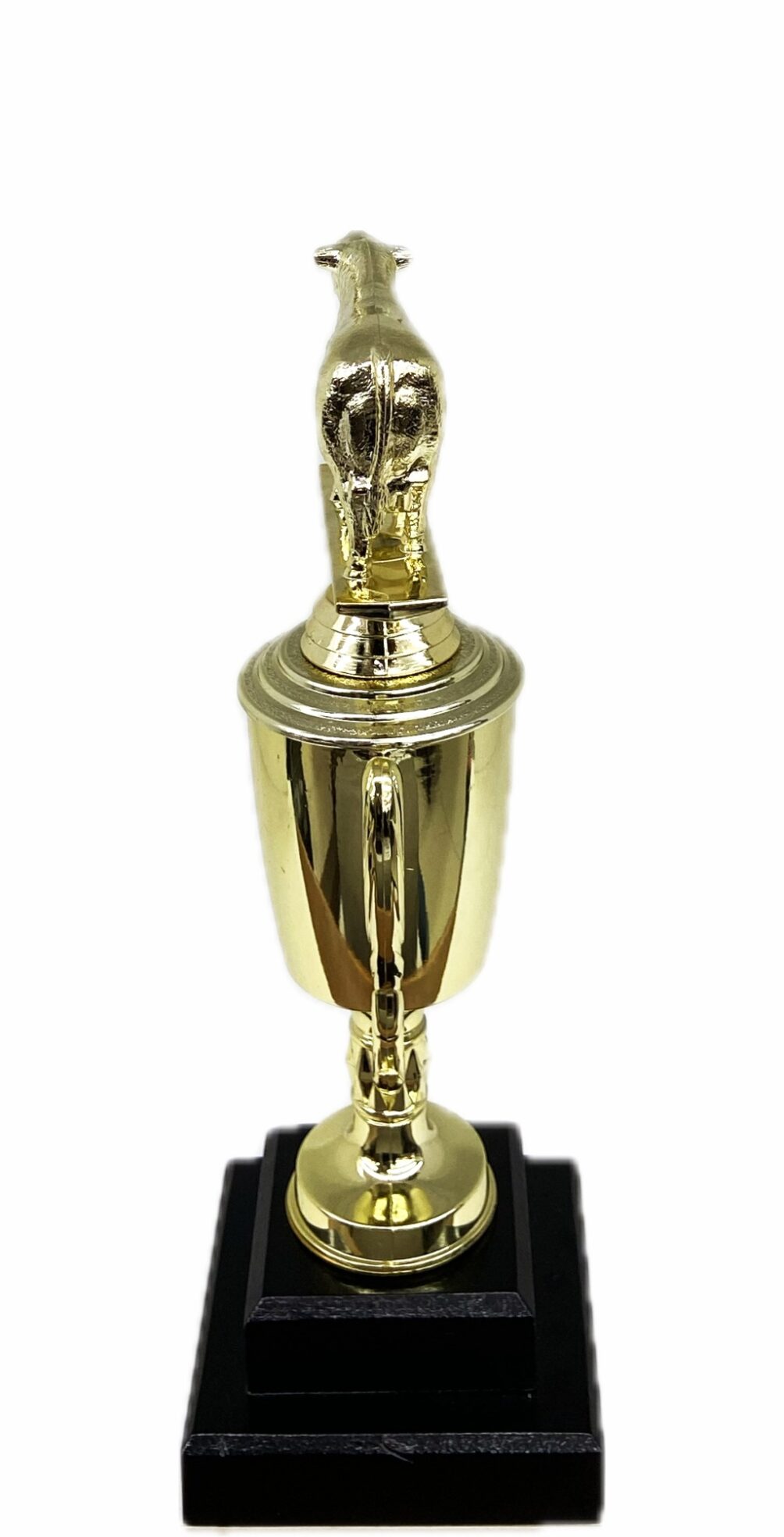 Hereford Steer Trophy 275mm