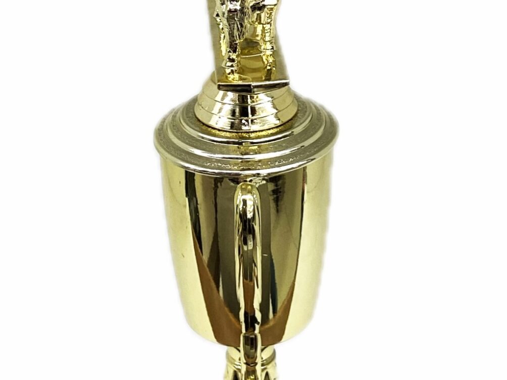 Hereford Steer Trophy 275mm