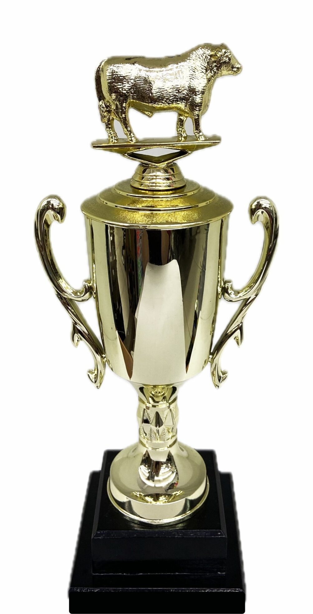 Hereford Steer Trophy 315mm