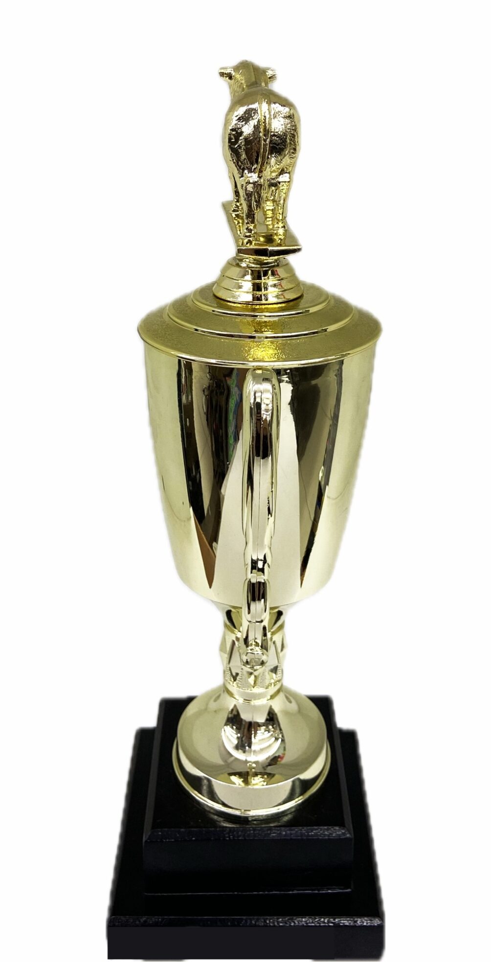 Hereford Steer Trophy 315mm