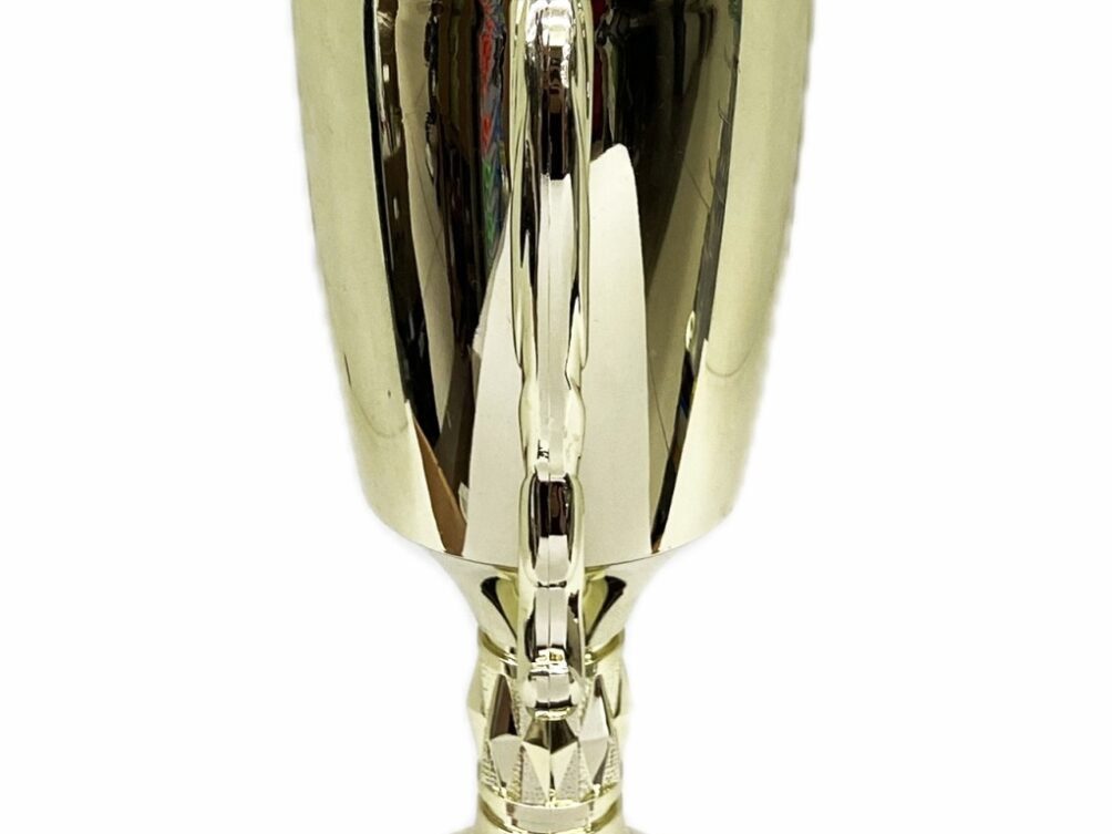 Hereford Steer Trophy 355mm