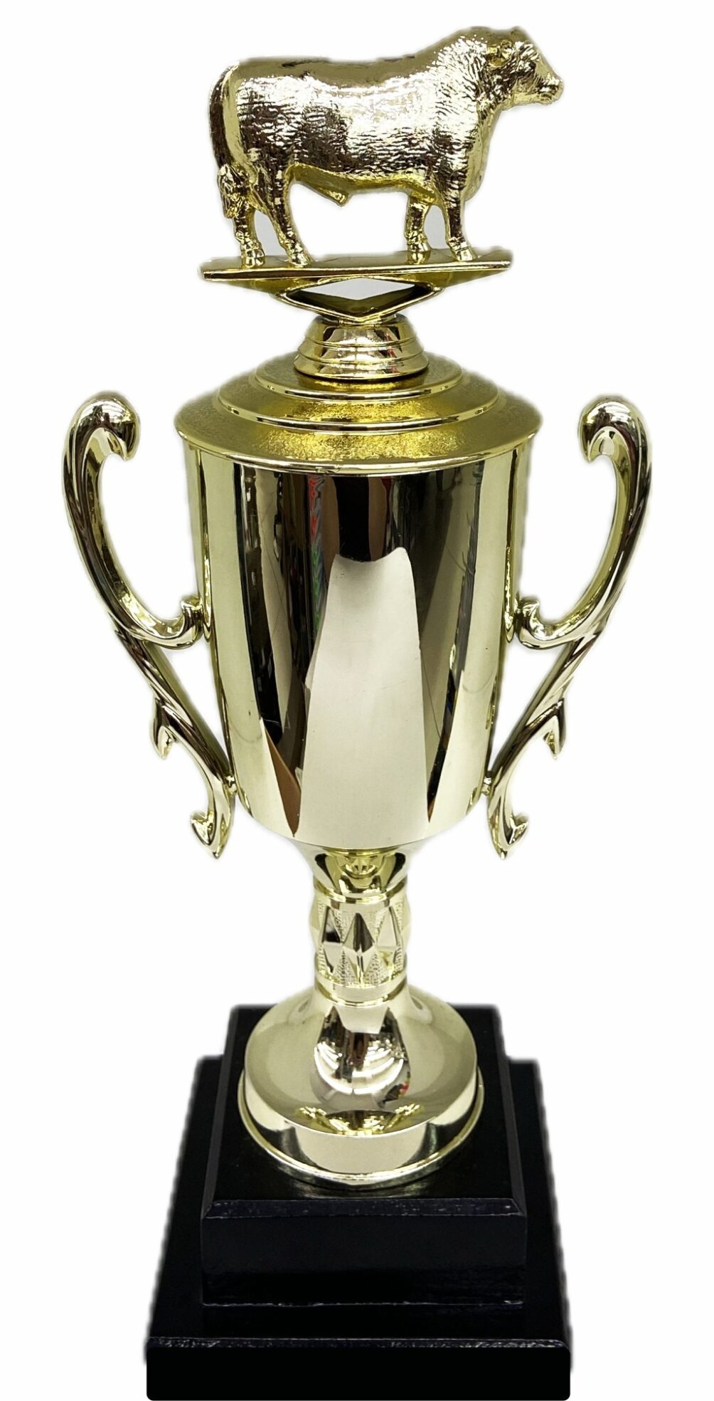 Hereford Steer Trophy 355mm