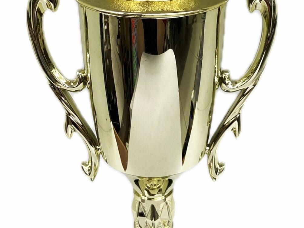 Hereford Steer Trophy 355mm