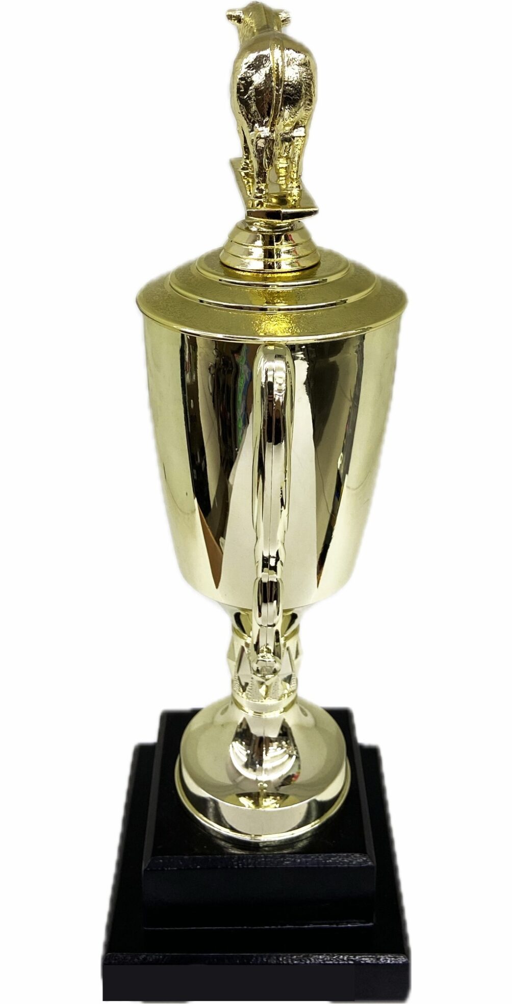 Hereford Steer Trophy 355mm
