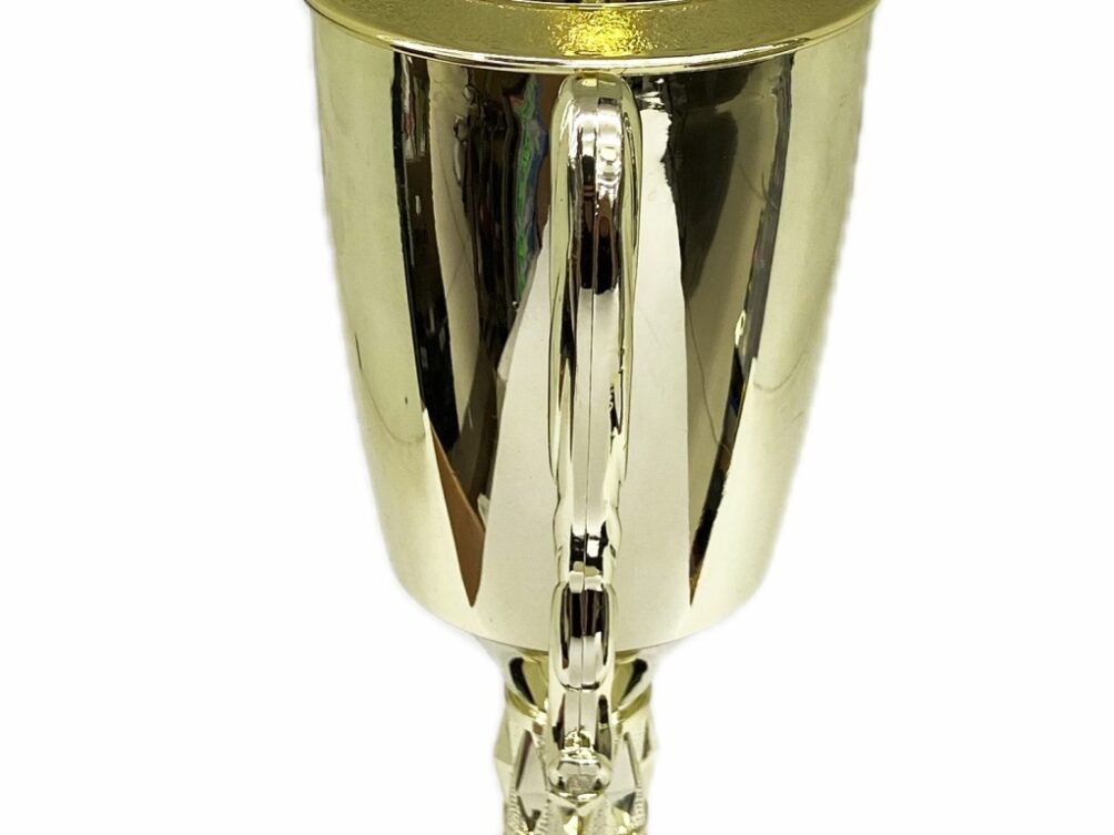 Hereford Steer Trophy 355mm