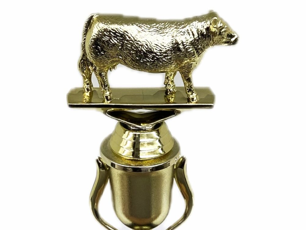 Hereford Steer Trophy 215mm