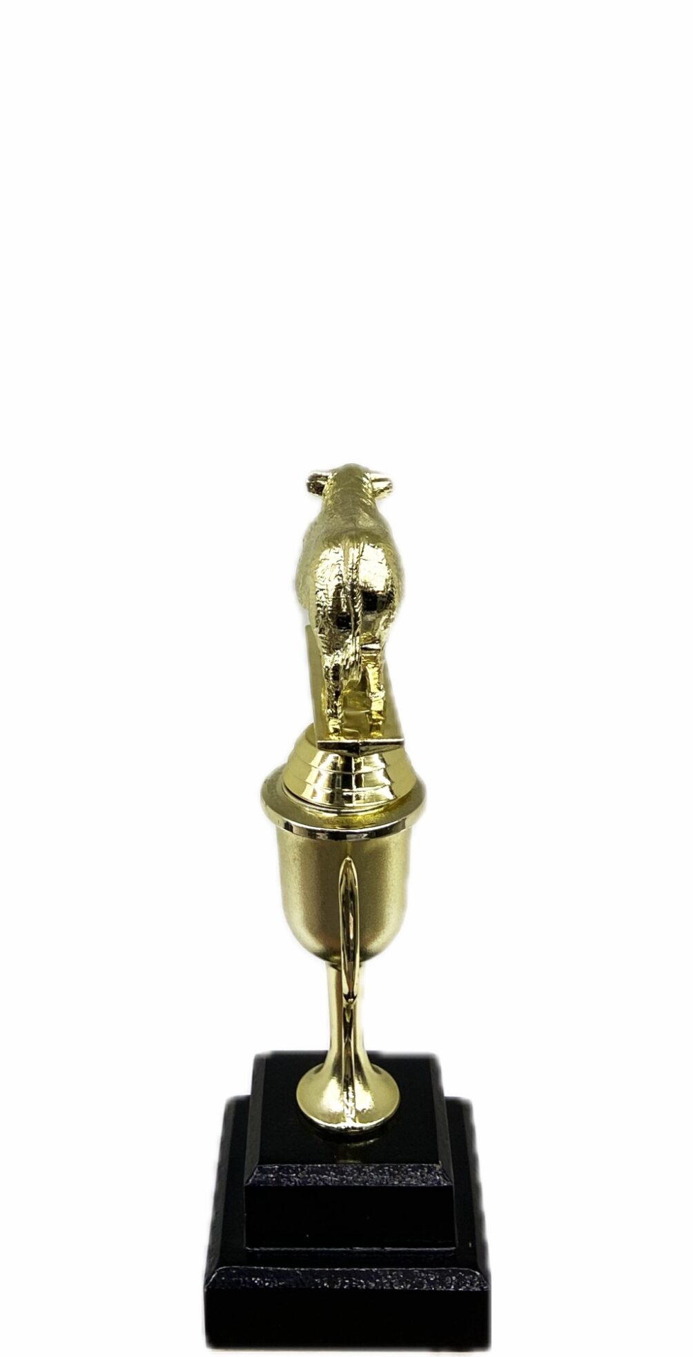 Hereford Steer Trophy 215mm