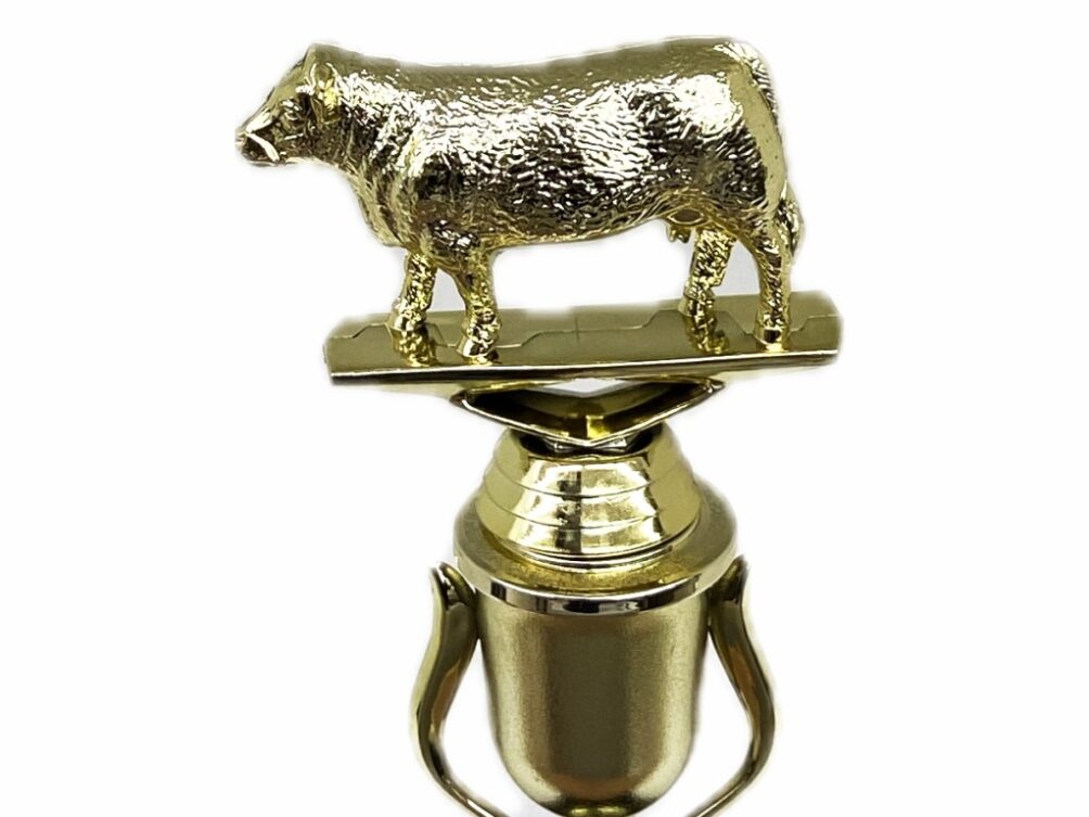 Hereford Steer Trophy 215mm
