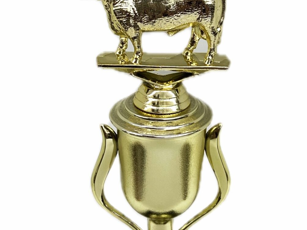 Hereford Steer Trophy 240mm