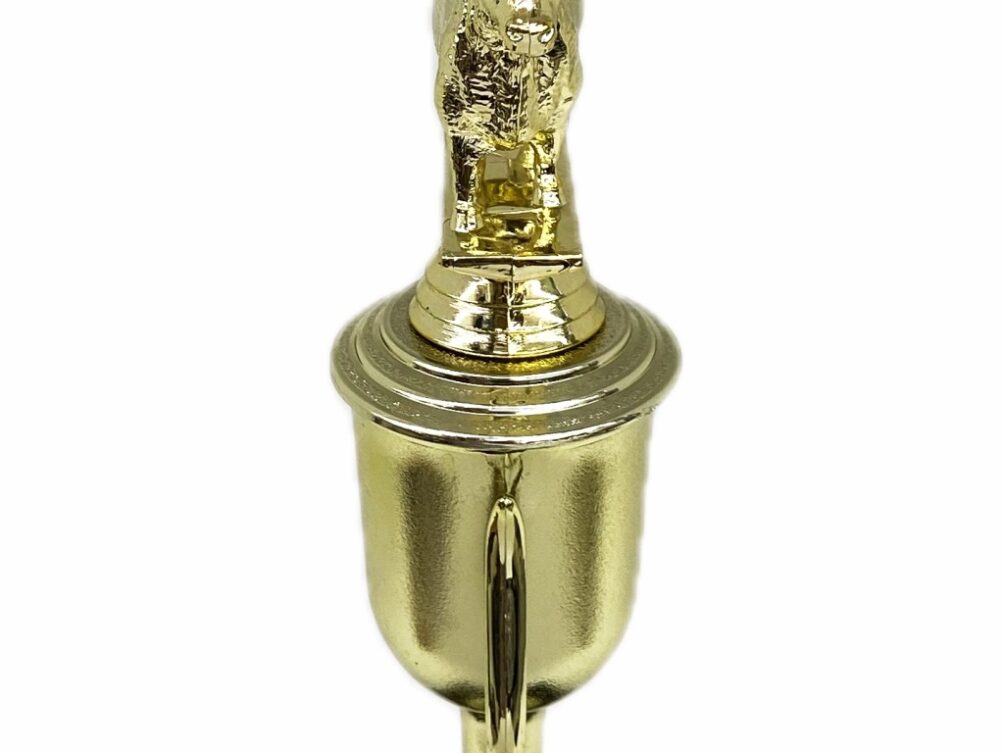 Hereford Steer Trophy 240mm