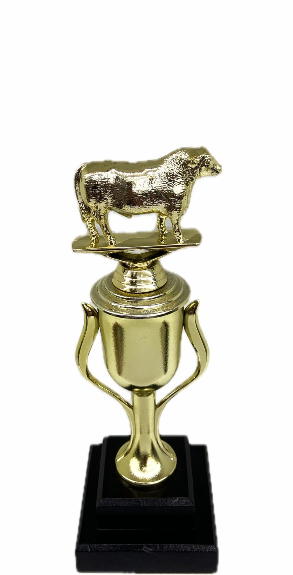 Hereford Steer Trophy 240mm