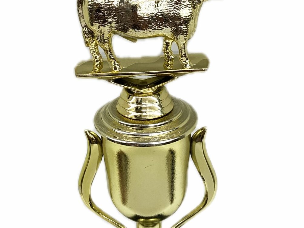 Hereford Steer Trophy 240mm