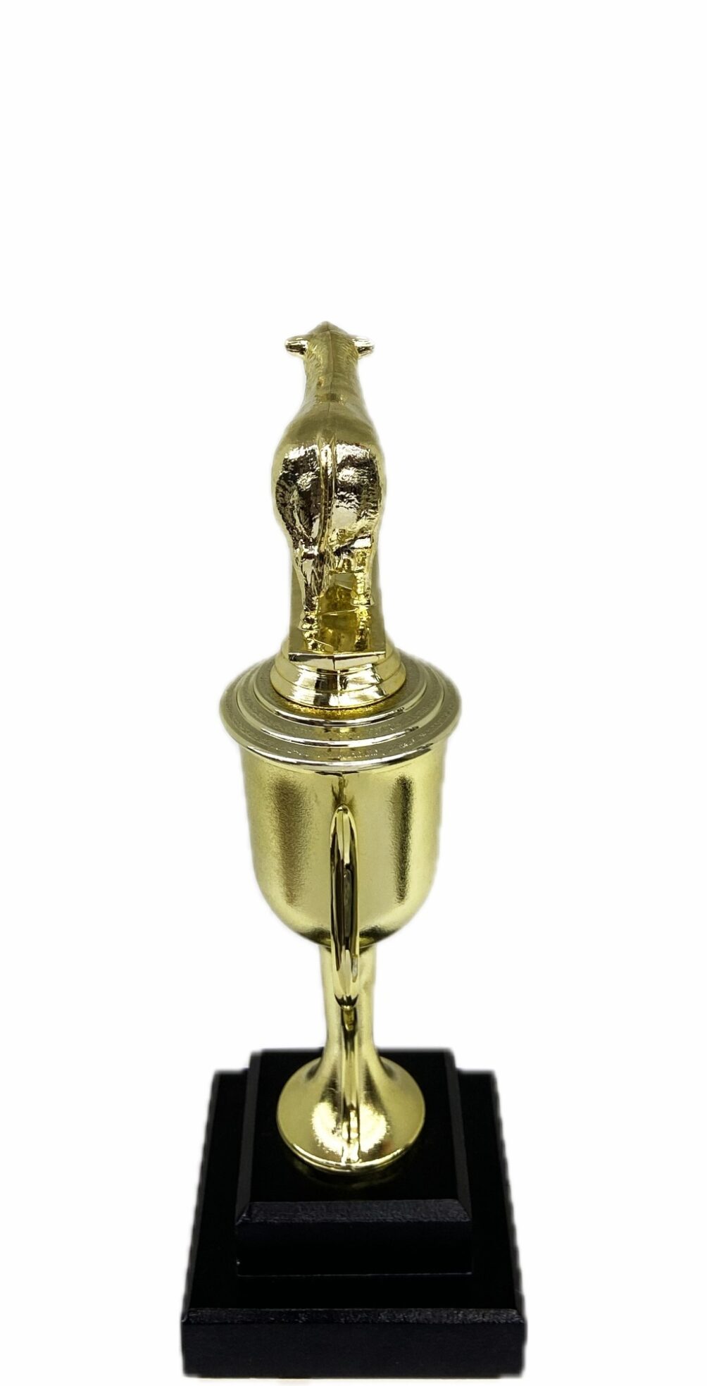 Hereford Steer Trophy 240mm