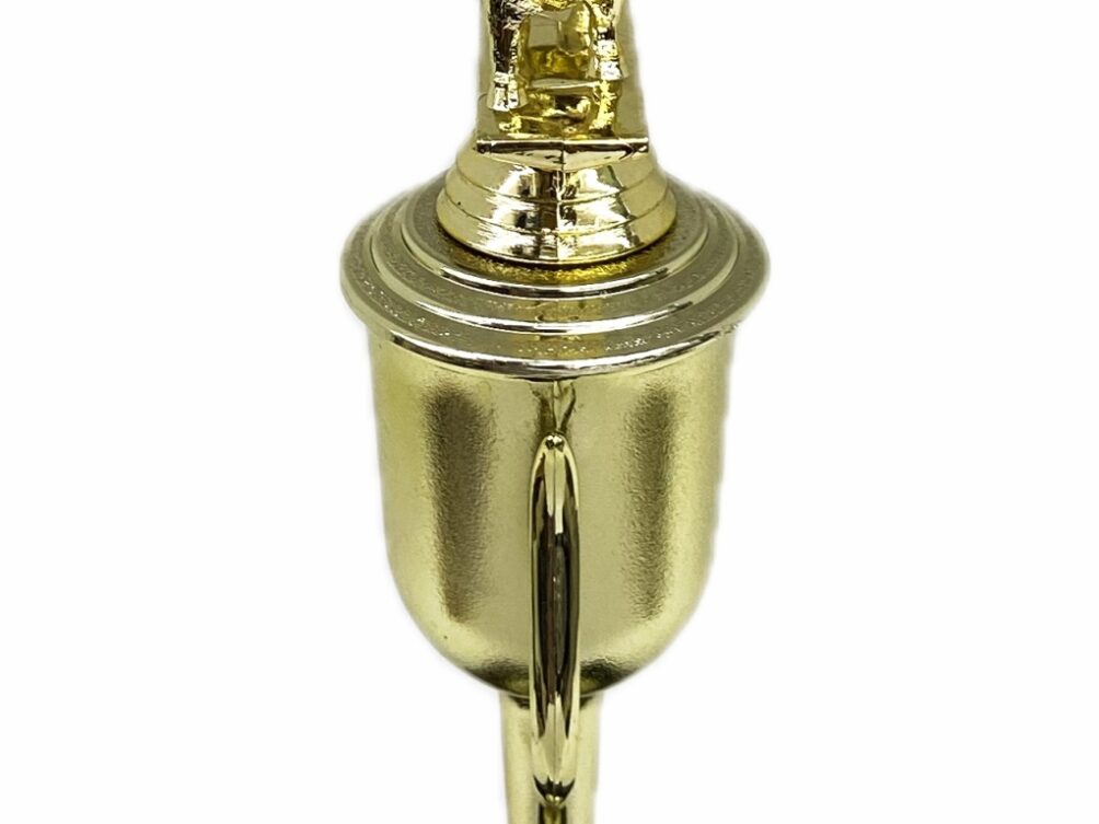 Hereford Steer Trophy 275mm