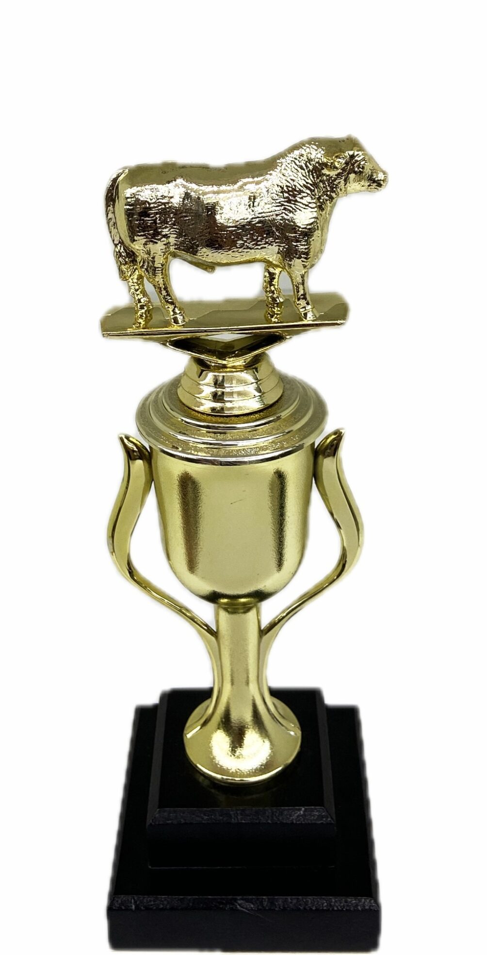 Hereford Steer Trophy 275mm