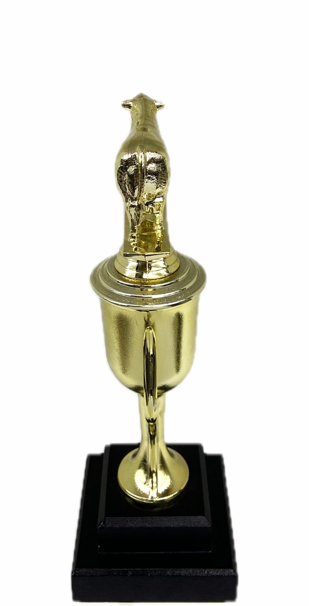 Hereford Steer Trophy 275mm
