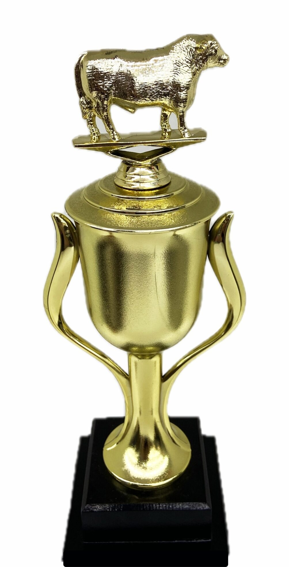 Hereford Steer Trophy 315mm